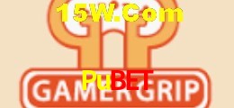 Pubet